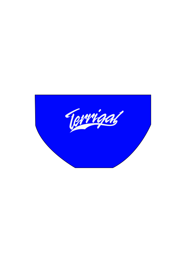 Terrigal SLSC Boys/Mens PLAIN Briefs - FashionFishDesigns