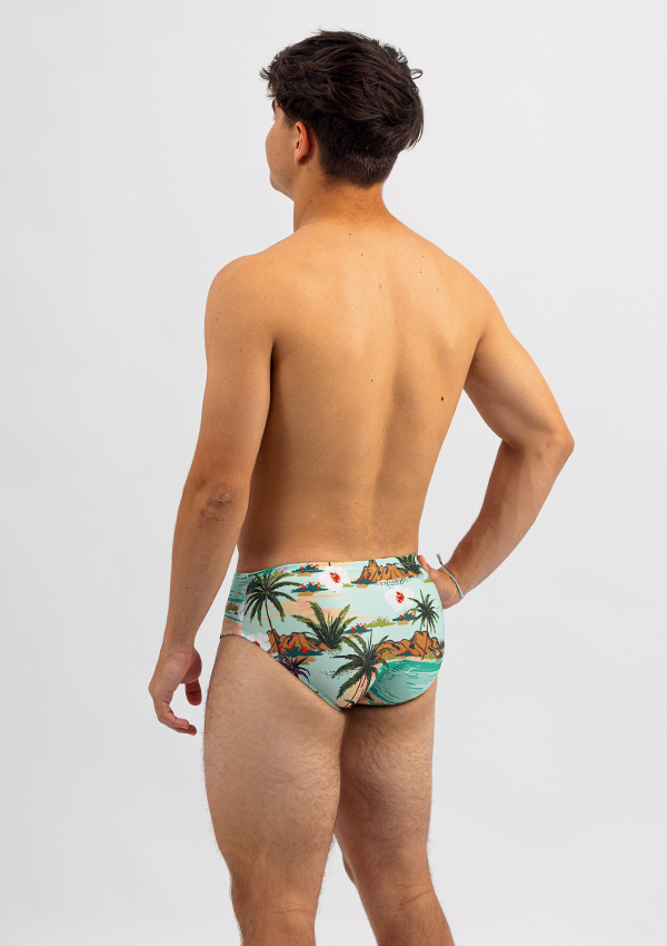 Mens Swim Briefs - Chlorine Resistant Swimwear  -Hula