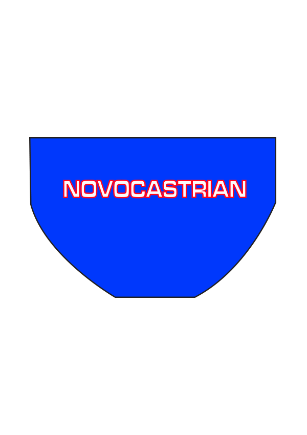 Novocastrian Swim Club Boys/Mens Briefs - FashionFishDesigns